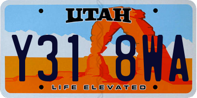 UT license plate Y318WA