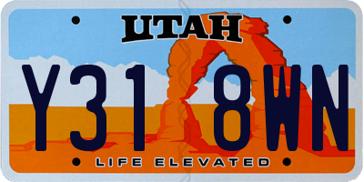 UT license plate Y318WN