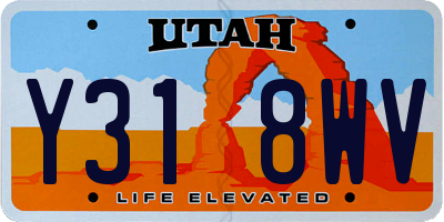 UT license plate Y318WV