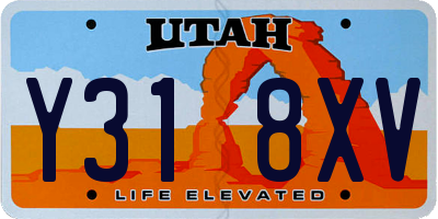 UT license plate Y318XV