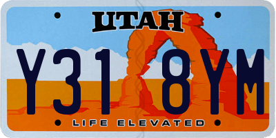 UT license plate Y318YM