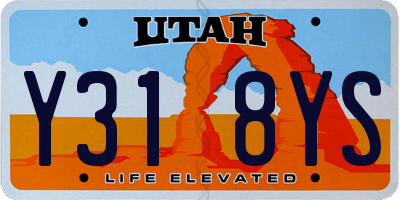 UT license plate Y318YS