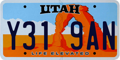 UT license plate Y319AN