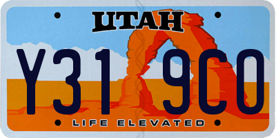 UT license plate Y319CO