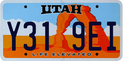 UT license plate Y319EI
