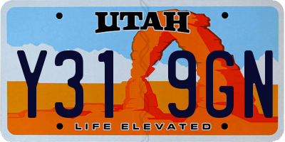 UT license plate Y319GN