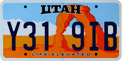 UT license plate Y319IB