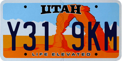 UT license plate Y319KM