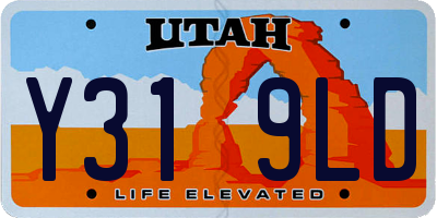 UT license plate Y319LD