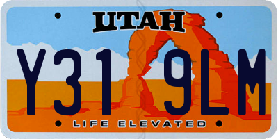 UT license plate Y319LM