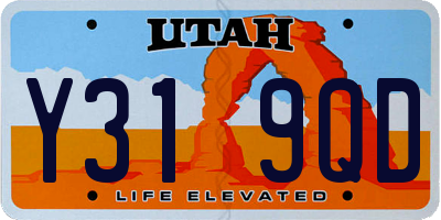 UT license plate Y319QD