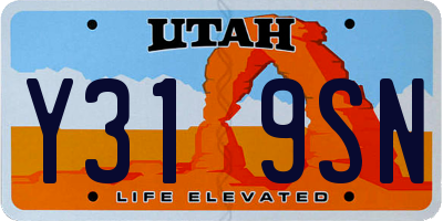 UT license plate Y319SN