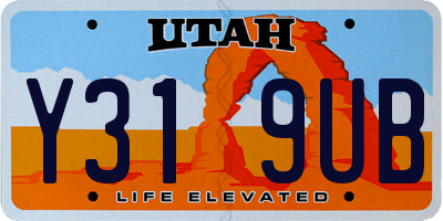 UT license plate Y319UB