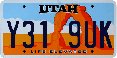 UT license plate Y319UK