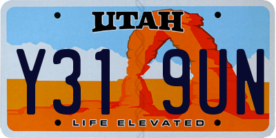 UT license plate Y319UN