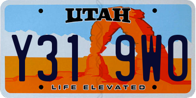 UT license plate Y319WO