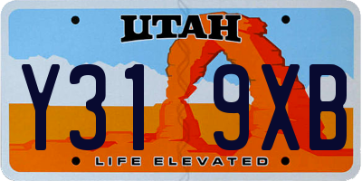 UT license plate Y319XB