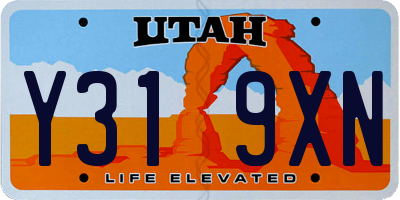 UT license plate Y319XN