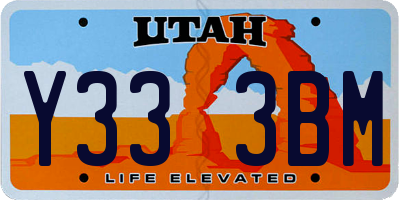 UT license plate Y333BM