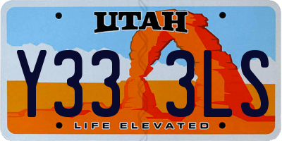 UT license plate Y333LS