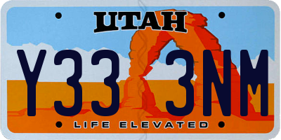 UT license plate Y333NM