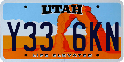 UT license plate Y336KN