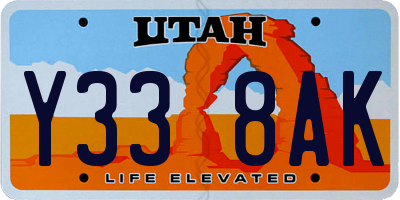 UT license plate Y338AK