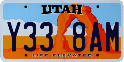 UT license plate Y338AM