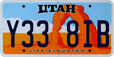 UT license plate Y338IB