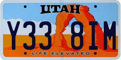 UT license plate Y338IM