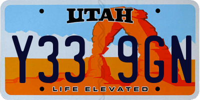 UT license plate Y339GN