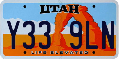 UT license plate Y339LN