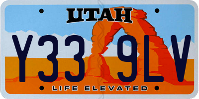 UT license plate Y339LV