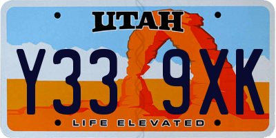UT license plate Y339XK