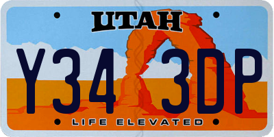 UT license plate Y343DP