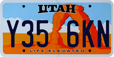UT license plate Y356KN