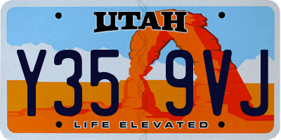 UT license plate Y359VJ