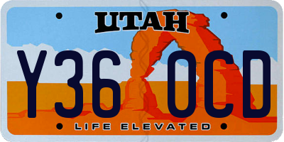 UT license plate Y360CD