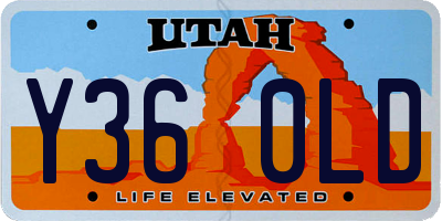UT license plate Y360LD