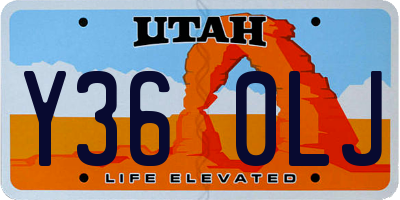UT license plate Y360LJ