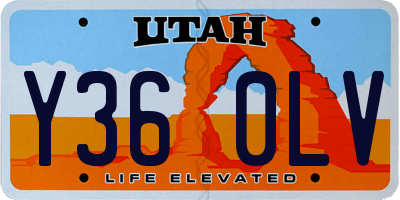 UT license plate Y360LV