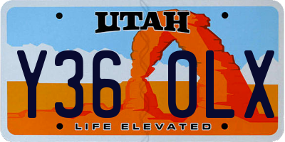 UT license plate Y360LX