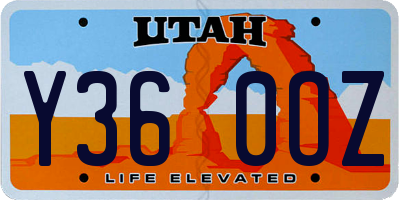 UT license plate Y360OZ
