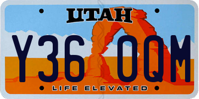 UT license plate Y360QM