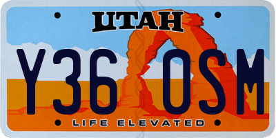 UT license plate Y360SM