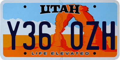 UT license plate Y360ZH