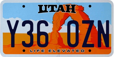 UT license plate Y360ZN