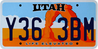 UT license plate Y363BM