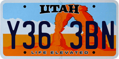 UT license plate Y363BN