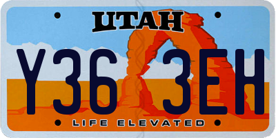 UT license plate Y363EH